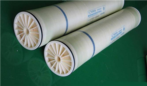 Influence of Feed Water Quality on Membrane Fouling